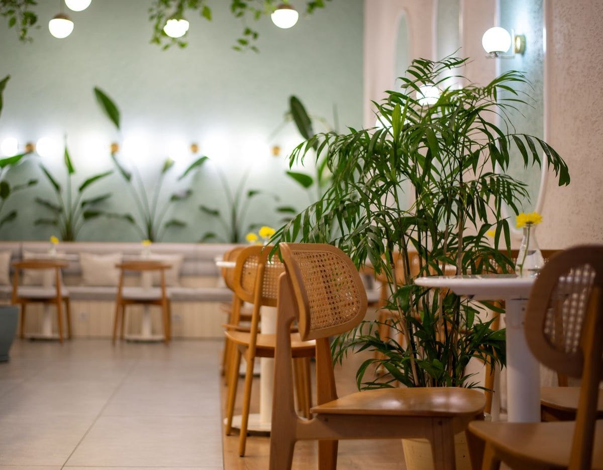 Wilston Cafe, cafe in Camp Hill, Brisbane