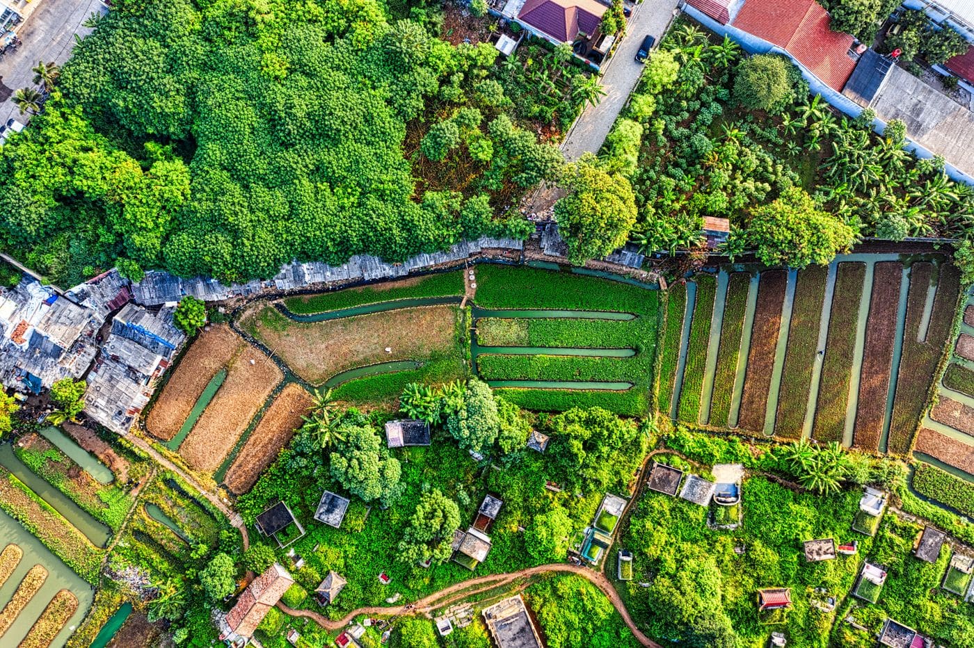 Agricultural lot let to a nursery, Tai Po